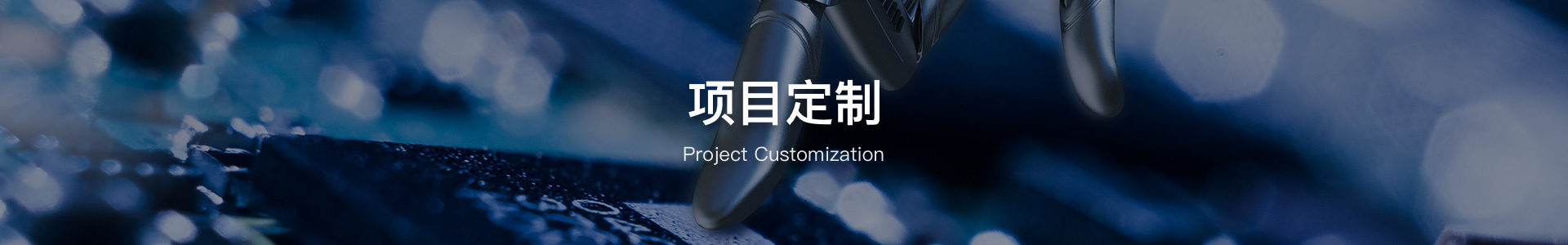 Project Customization